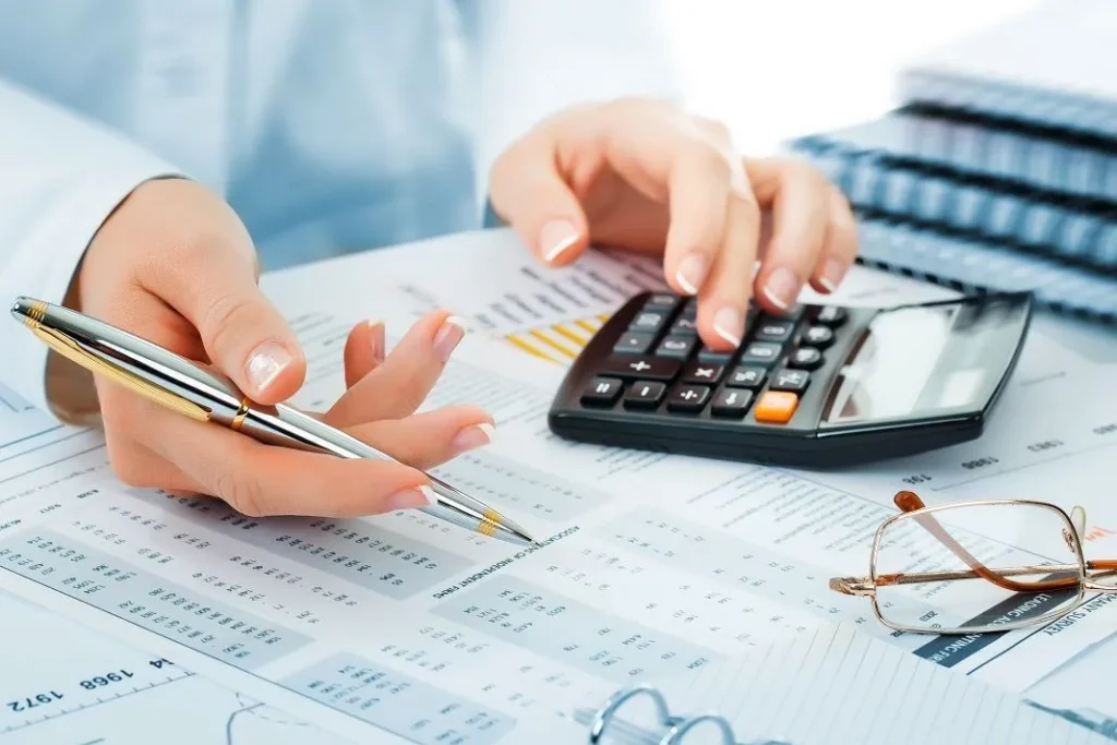 Accounting Software Online – An Introduction