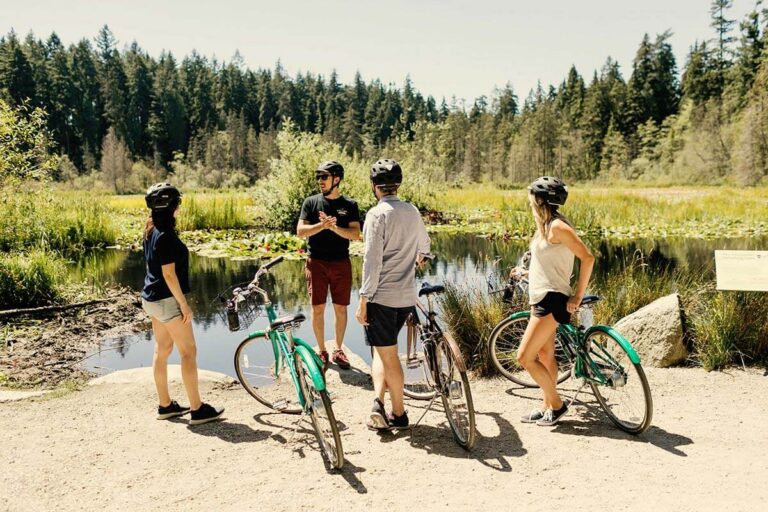 A Summary Of Bicycle Tour