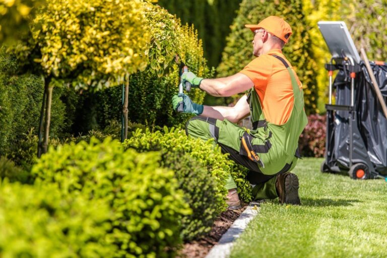 garden-maintenance-service