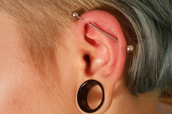 Learn What An Expert Has To Say On The Plugs And Tunnels