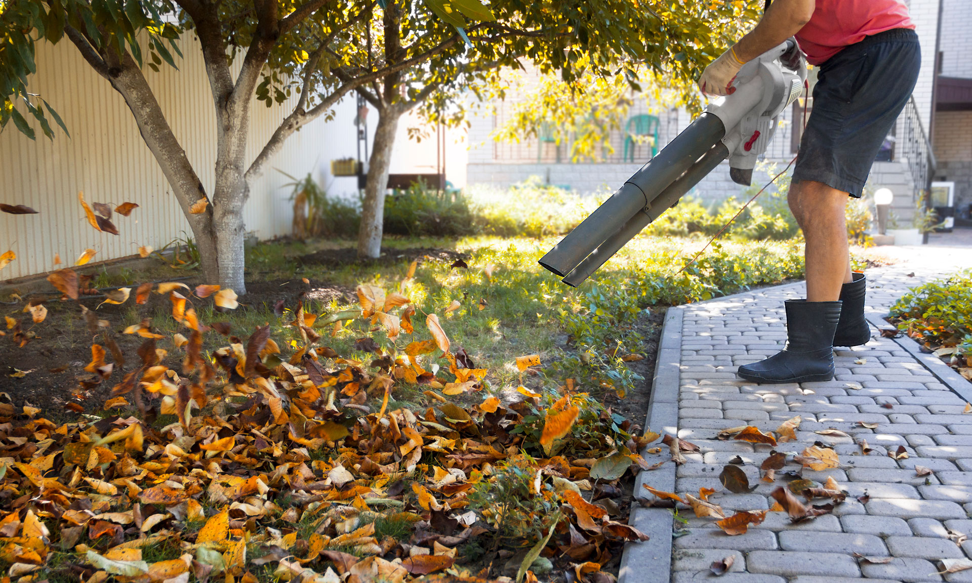 Discover What A Pro Has To Say On The Leaf Blower Vacuum Hire