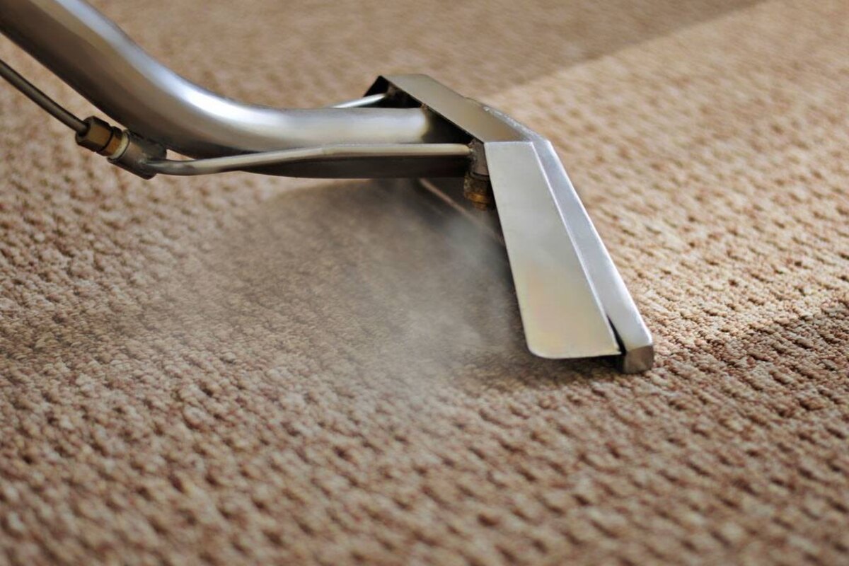 Precise Study On The Carpet Steam Cleaning