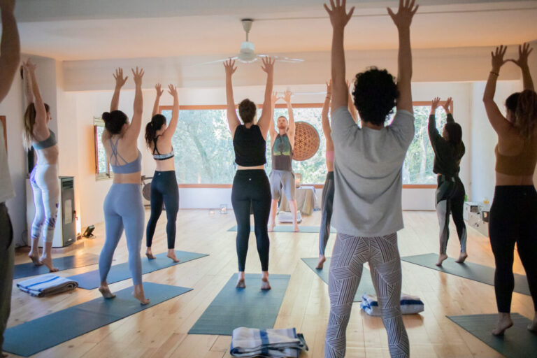 women's wellness retreats