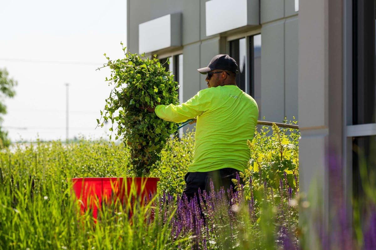 A Glimpse At Commercial Grounds Maintenance