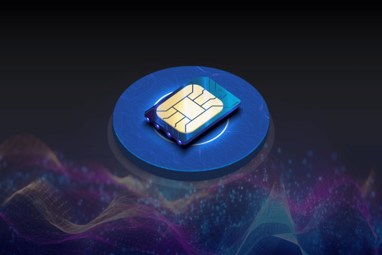 Fixed IP Sim Cards – What You Must Be Aware Of