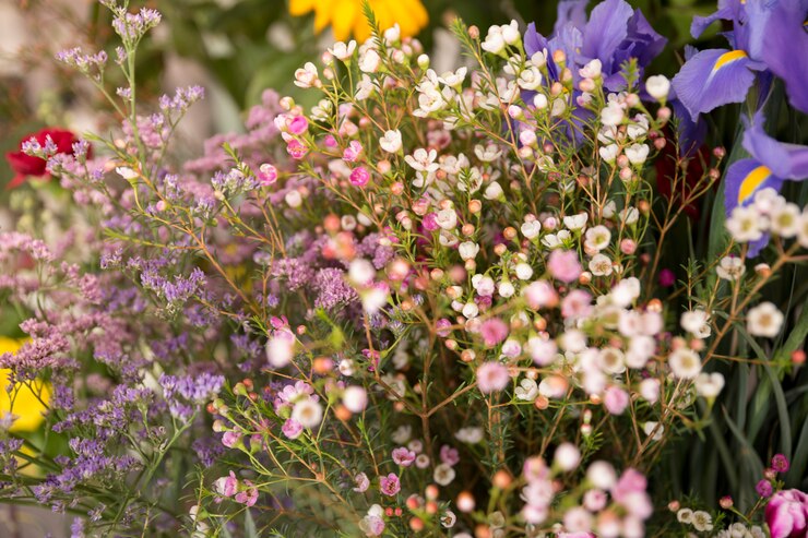 Individual Guide On Wild Flower Mixture