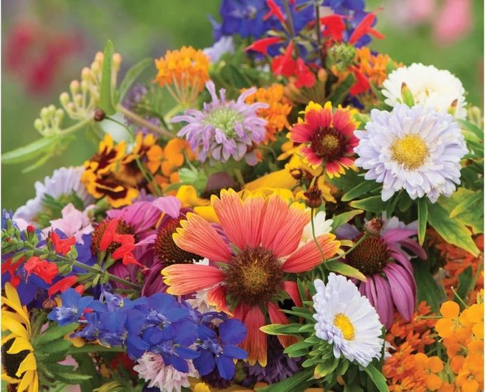 The Importance Of Wild Flower Seeds