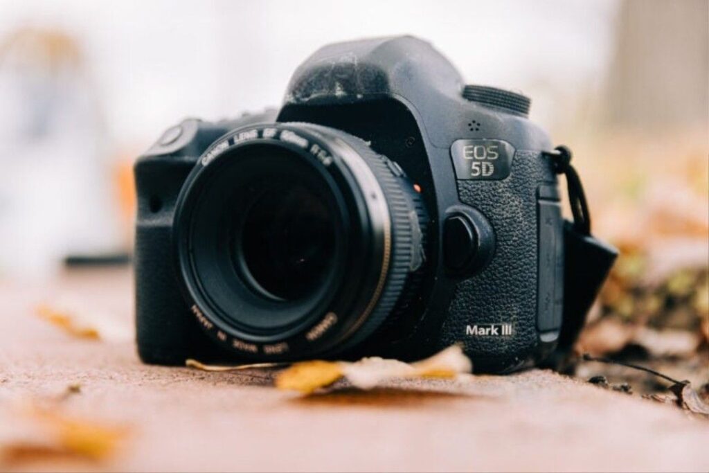 Top Used Cameras And Their Common Myths