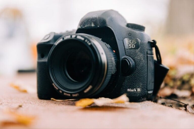 Top Used Cameras And Their Common Myths
