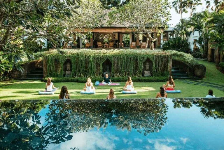 A Glance At Wellness Retreat