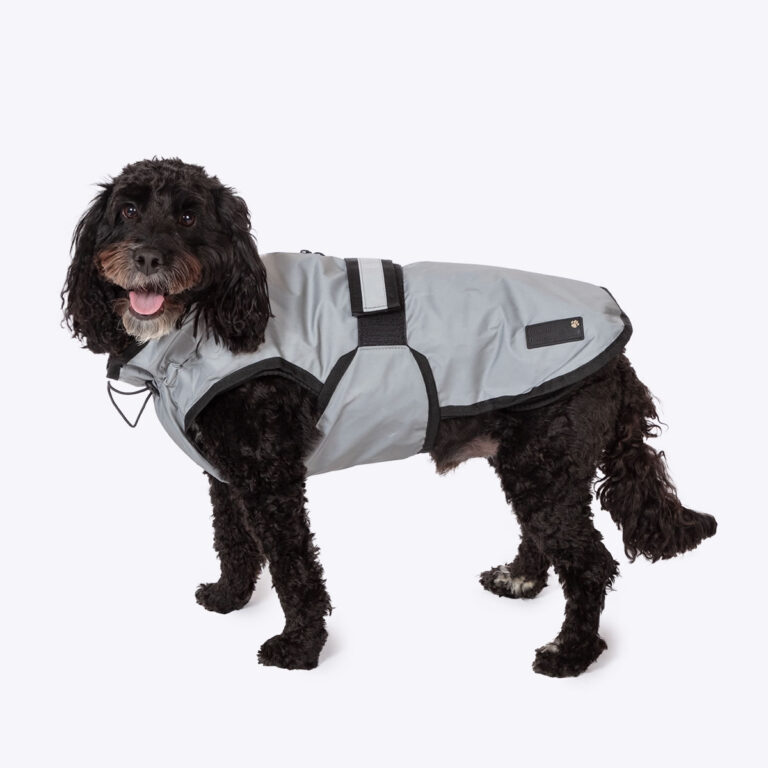 Water-Resistant-Dog-Coat-768x768