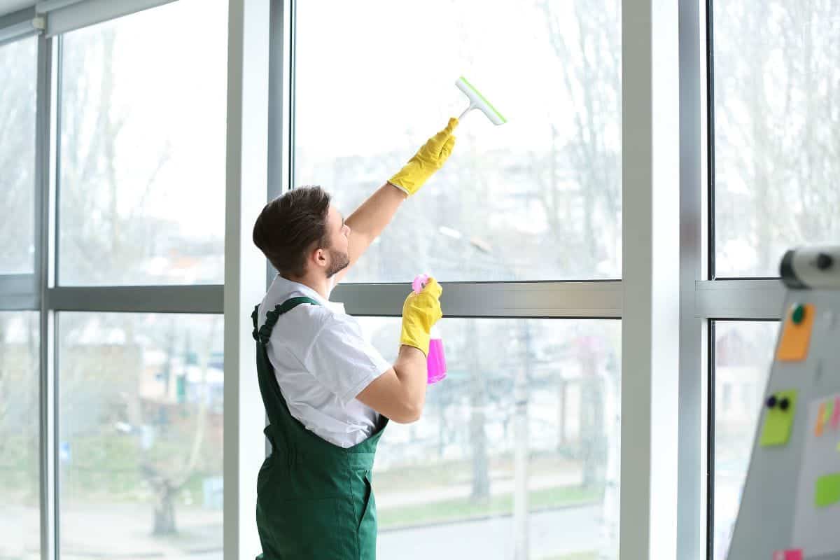 Individual Guide On Professional Cleaning Company